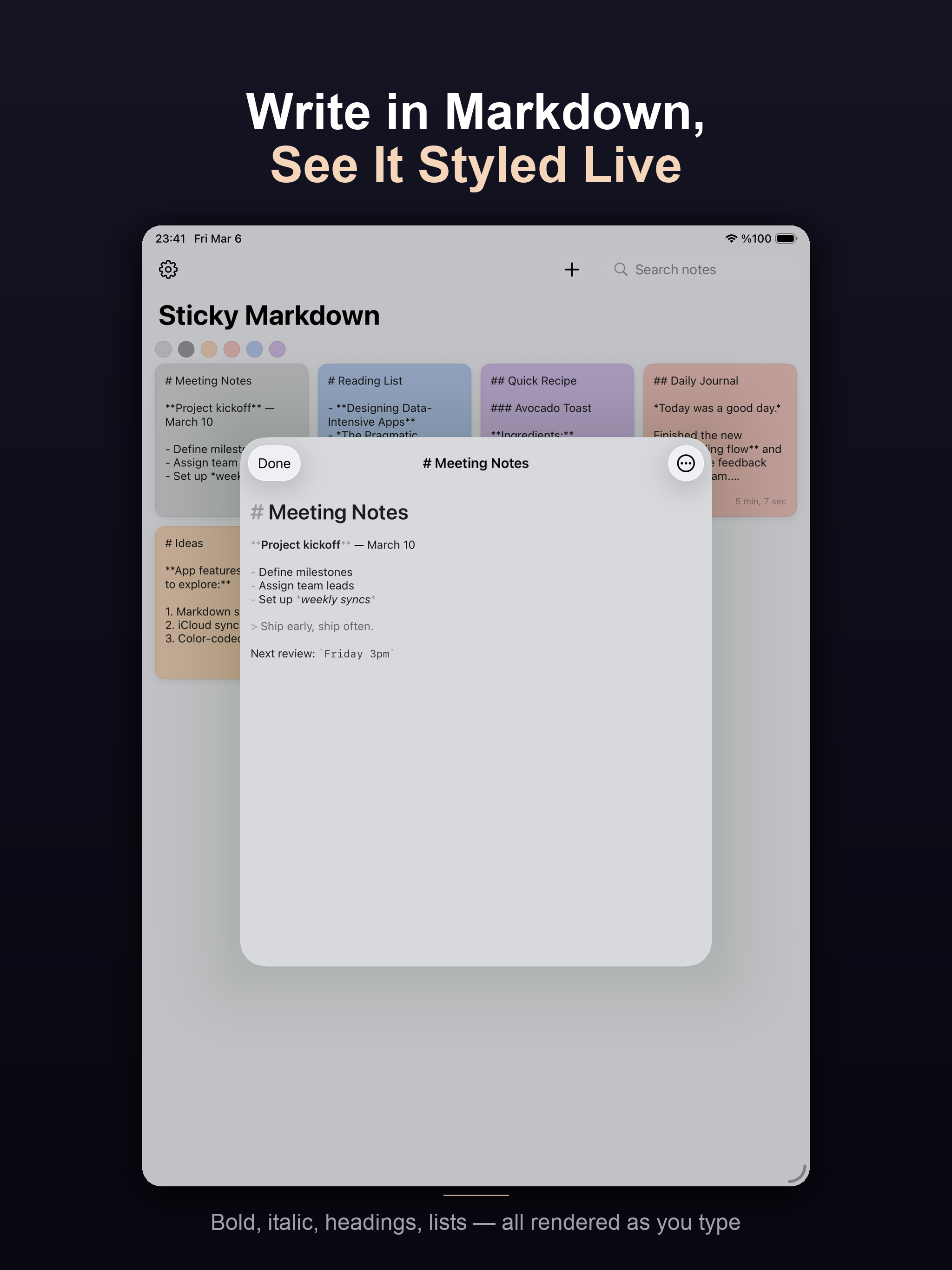 Pane on iPad — note editor